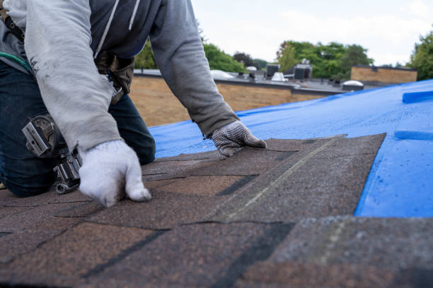 Roof Gutter Cleaning in Wymore, NE