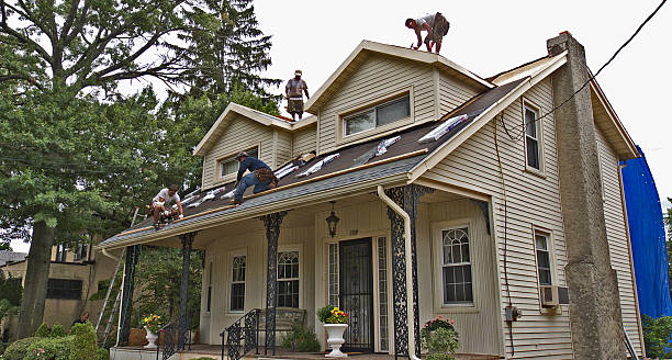 Best Storm Damage Roof Repair  in Wymore, NE