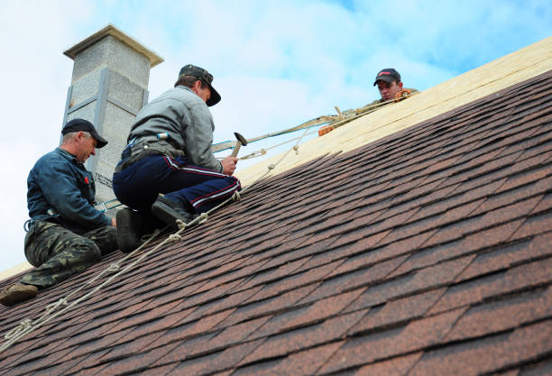 Roof Waterproofing Services in Wymore, NE